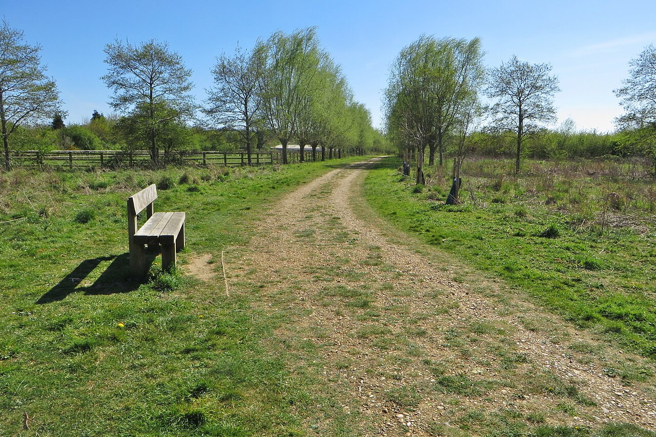 A bench beside a wide footpath in a rural park.