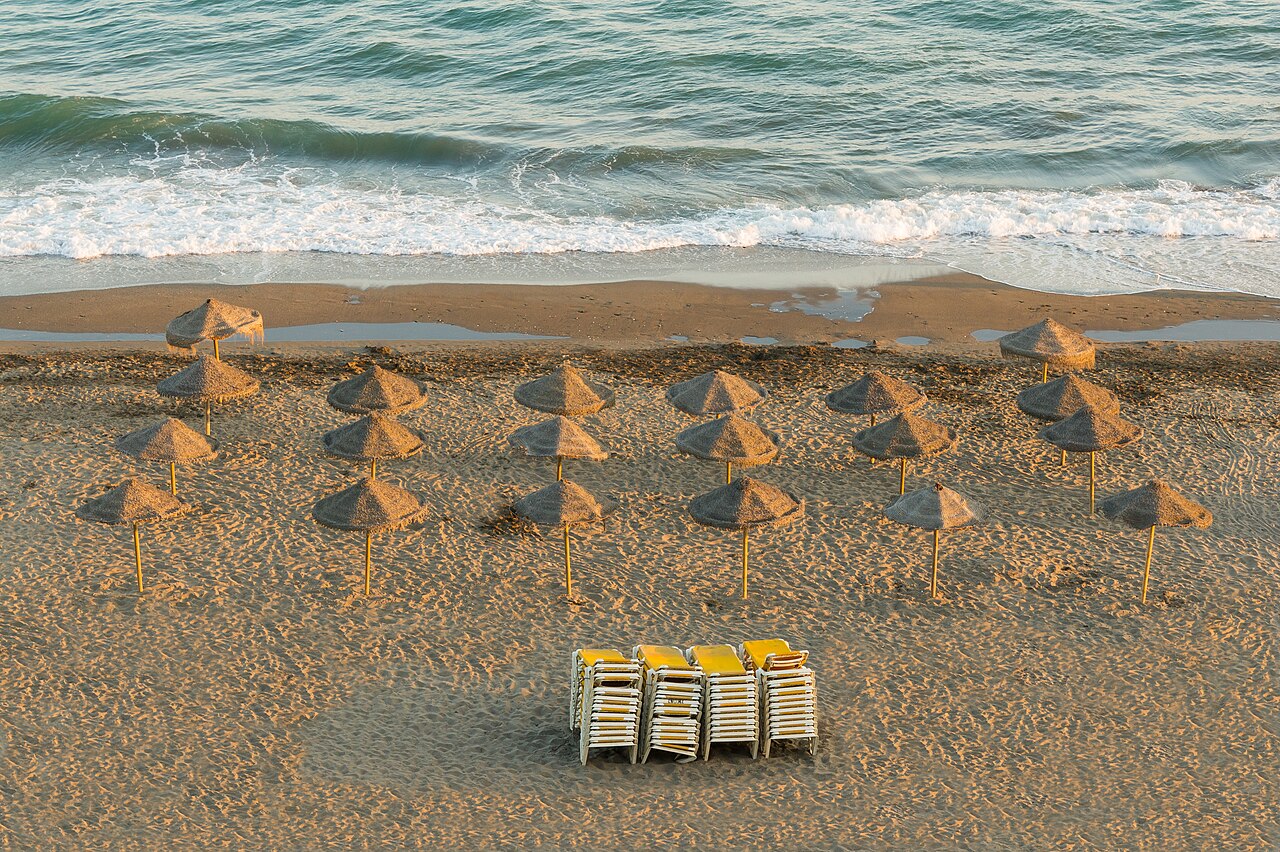 Rows of parasols and loungers beside the sea.