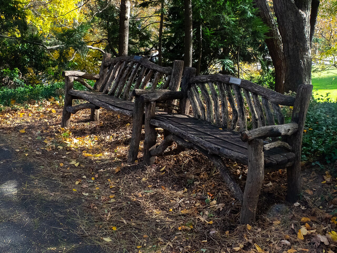 Wooden benches beside a path in a leafy city park.